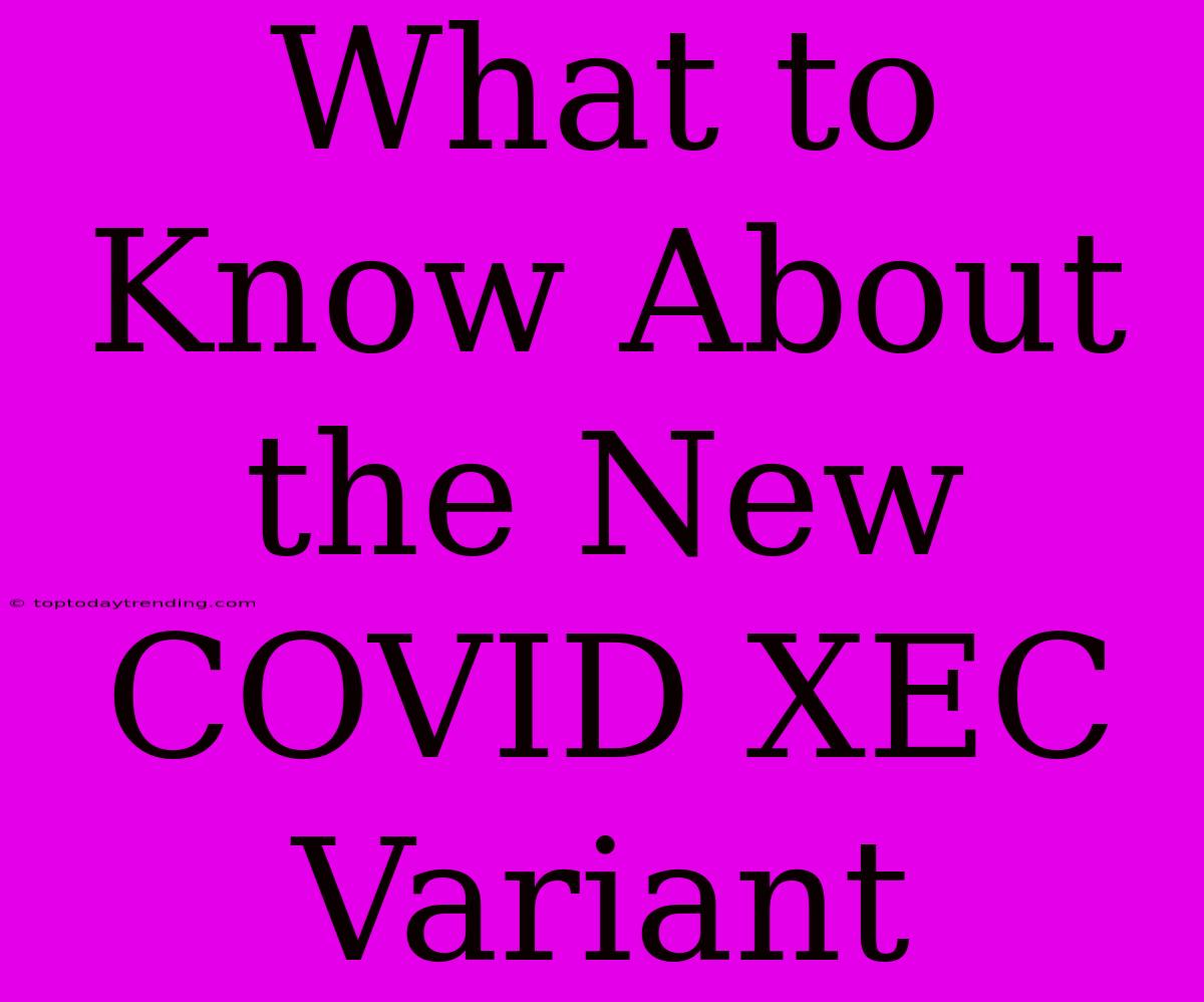 What To Know About The New COVID XEC Variant