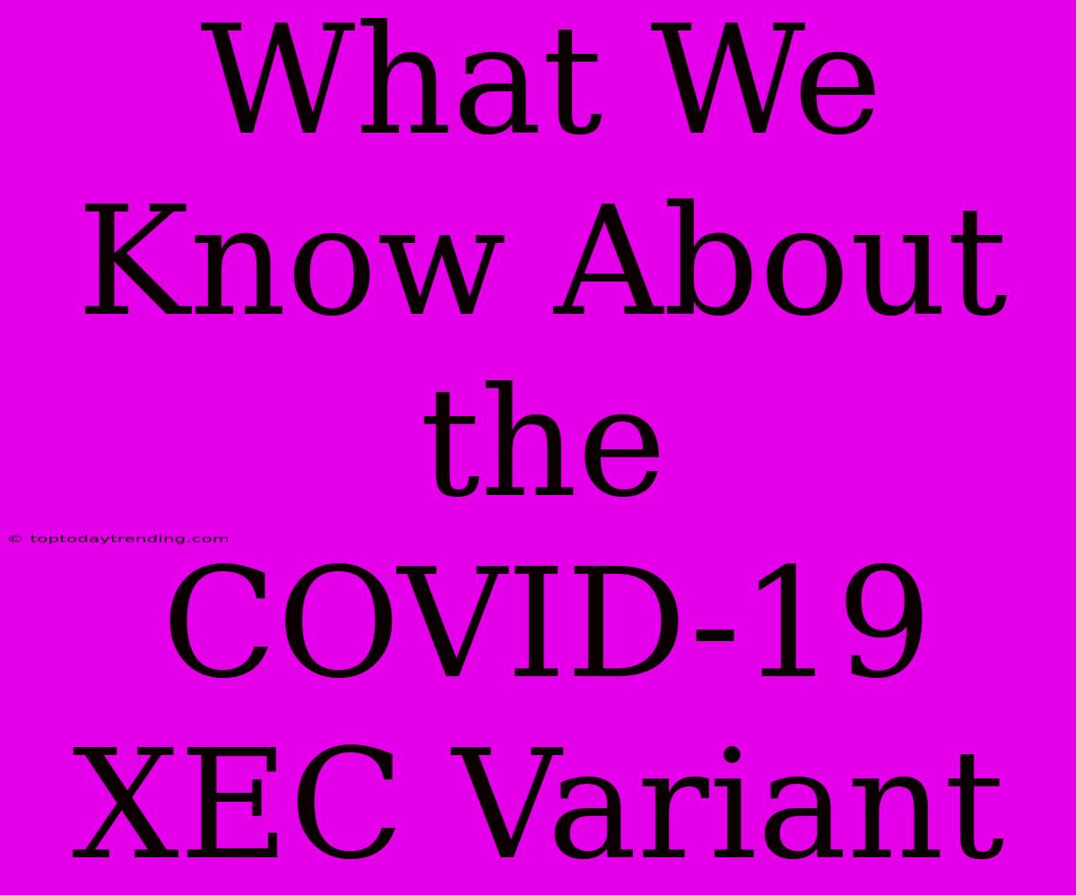 What We Know About The COVID-19 XEC Variant