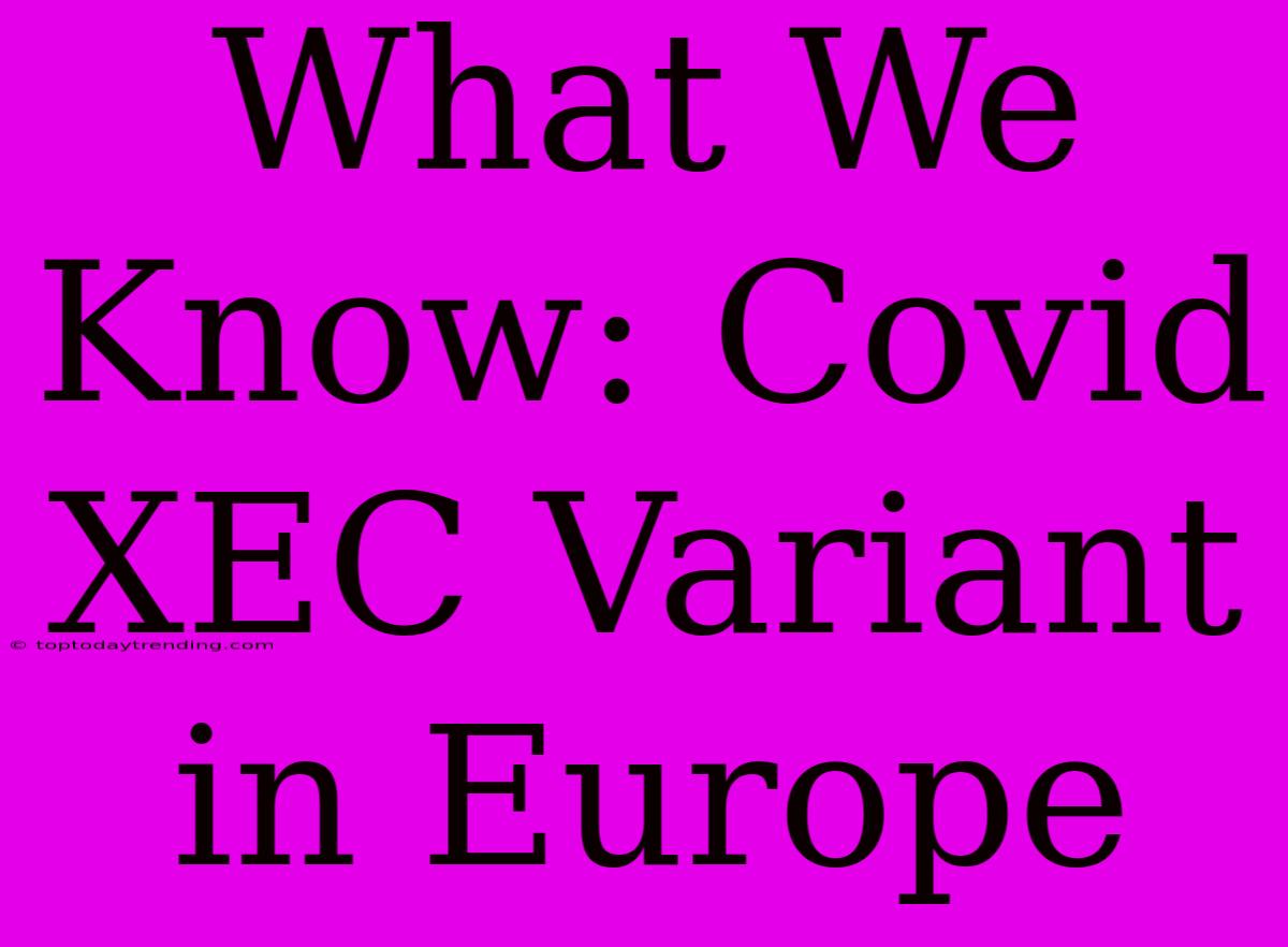 What We Know: Covid XEC Variant In Europe