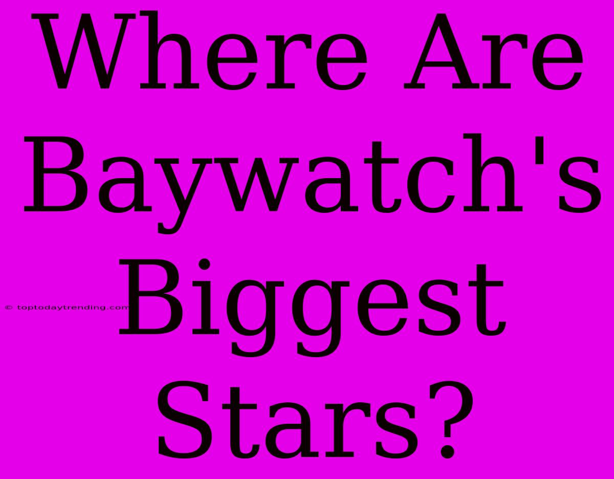 Where Are Baywatch's Biggest Stars?