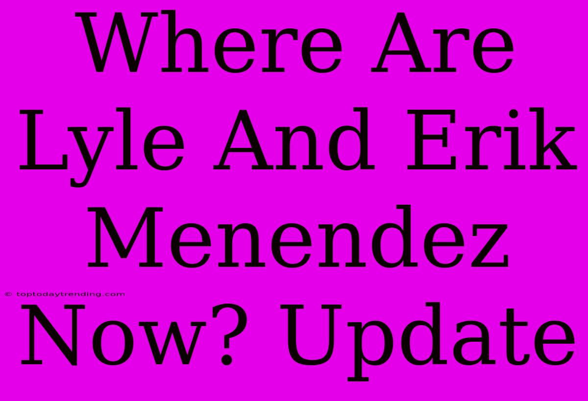 Where Are Lyle And Erik Menendez Now? Update