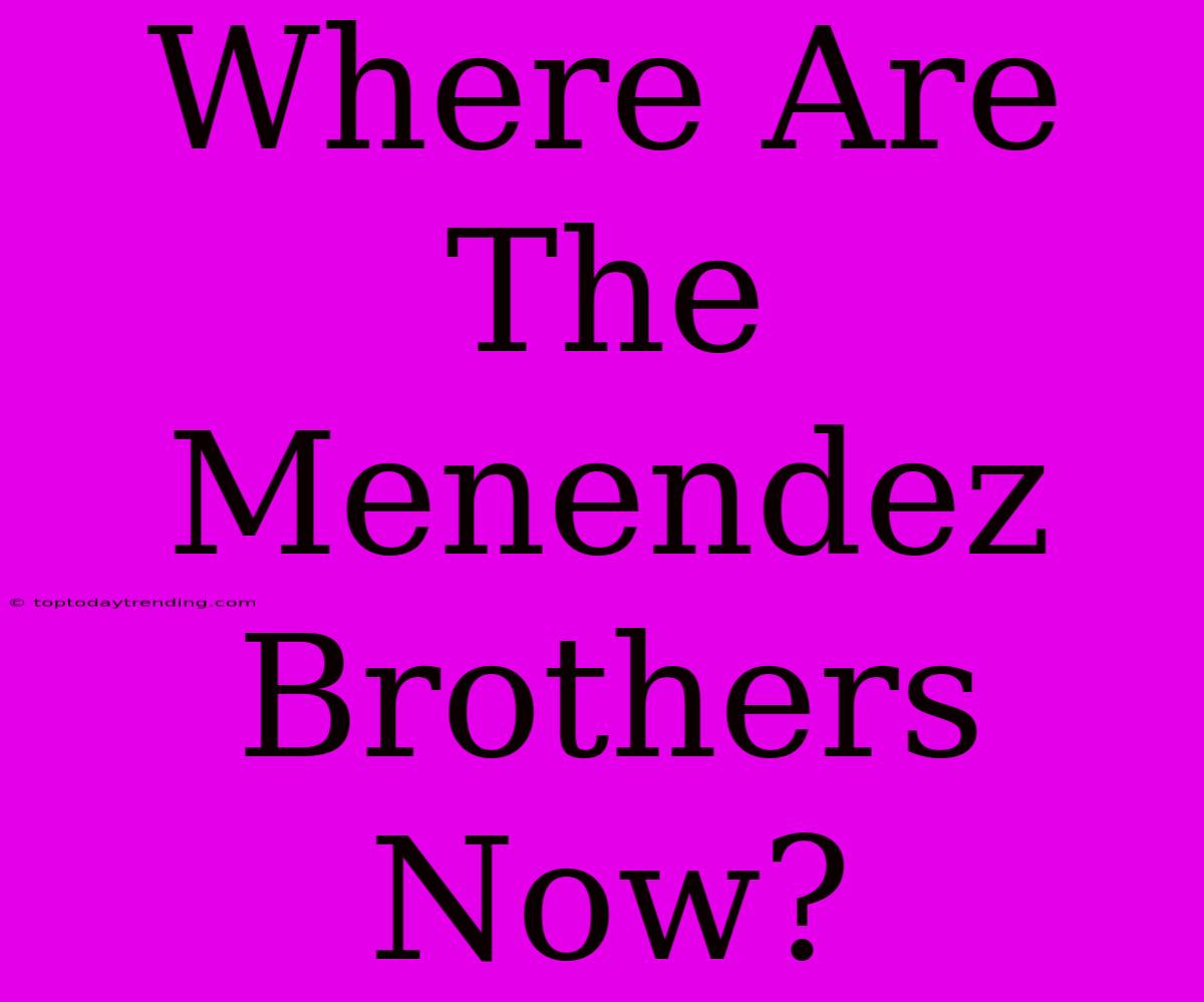 Where Are The Menendez Brothers Now?