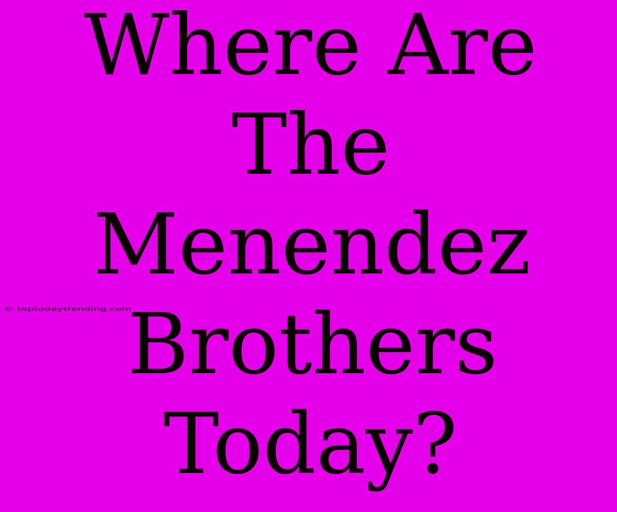 Where Are The Menendez Brothers Today?