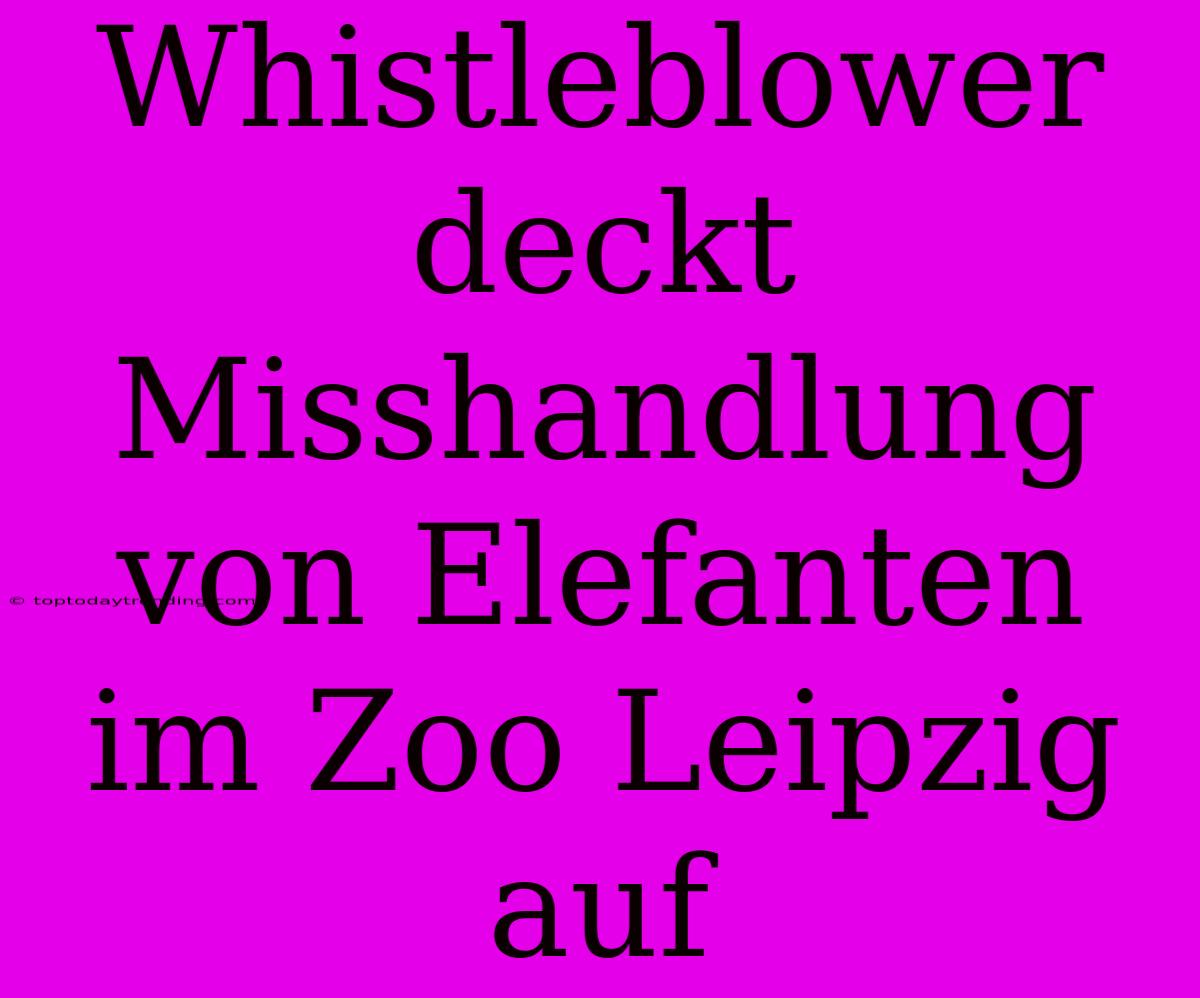 Whistleblower Deckt Misshandlung Von Elefanten Im Zoo Leipzig Auf