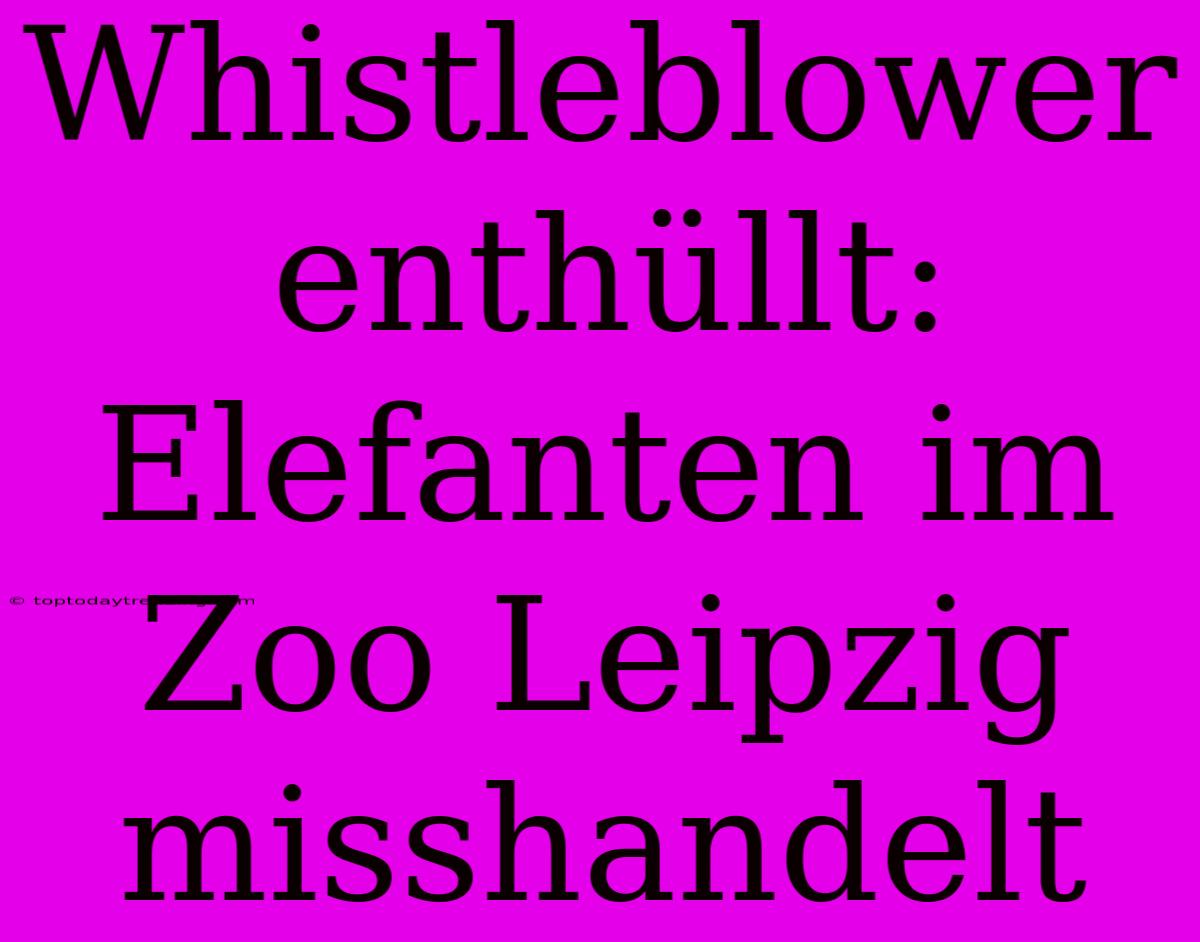 Whistleblower Enthüllt: Elefanten Im Zoo Leipzig Misshandelt