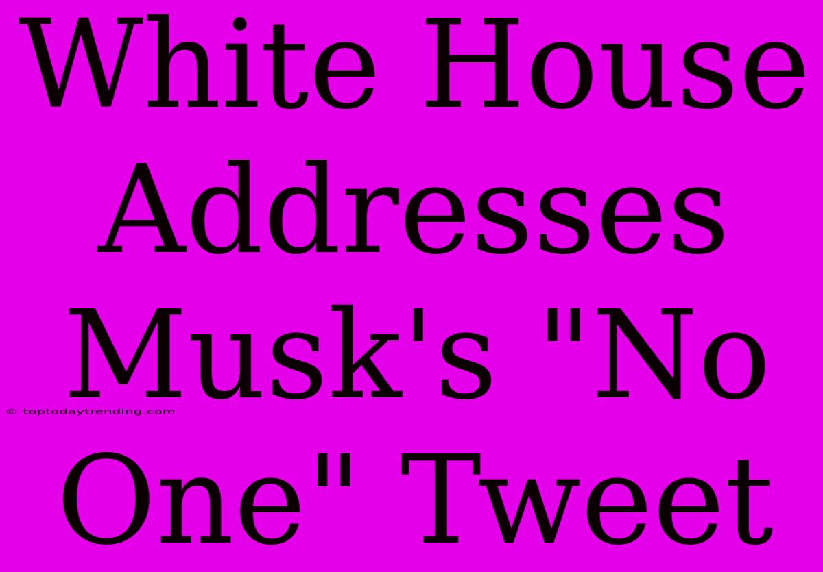 White House Addresses Musk's 