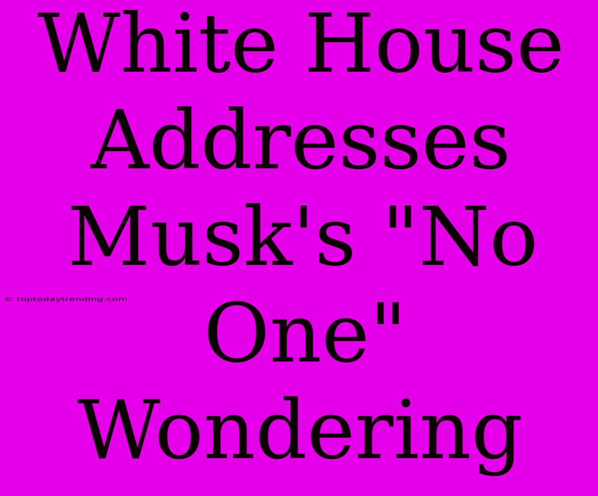 White House Addresses Musk's 