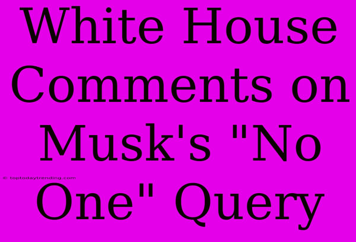 White House Comments On Musk's 