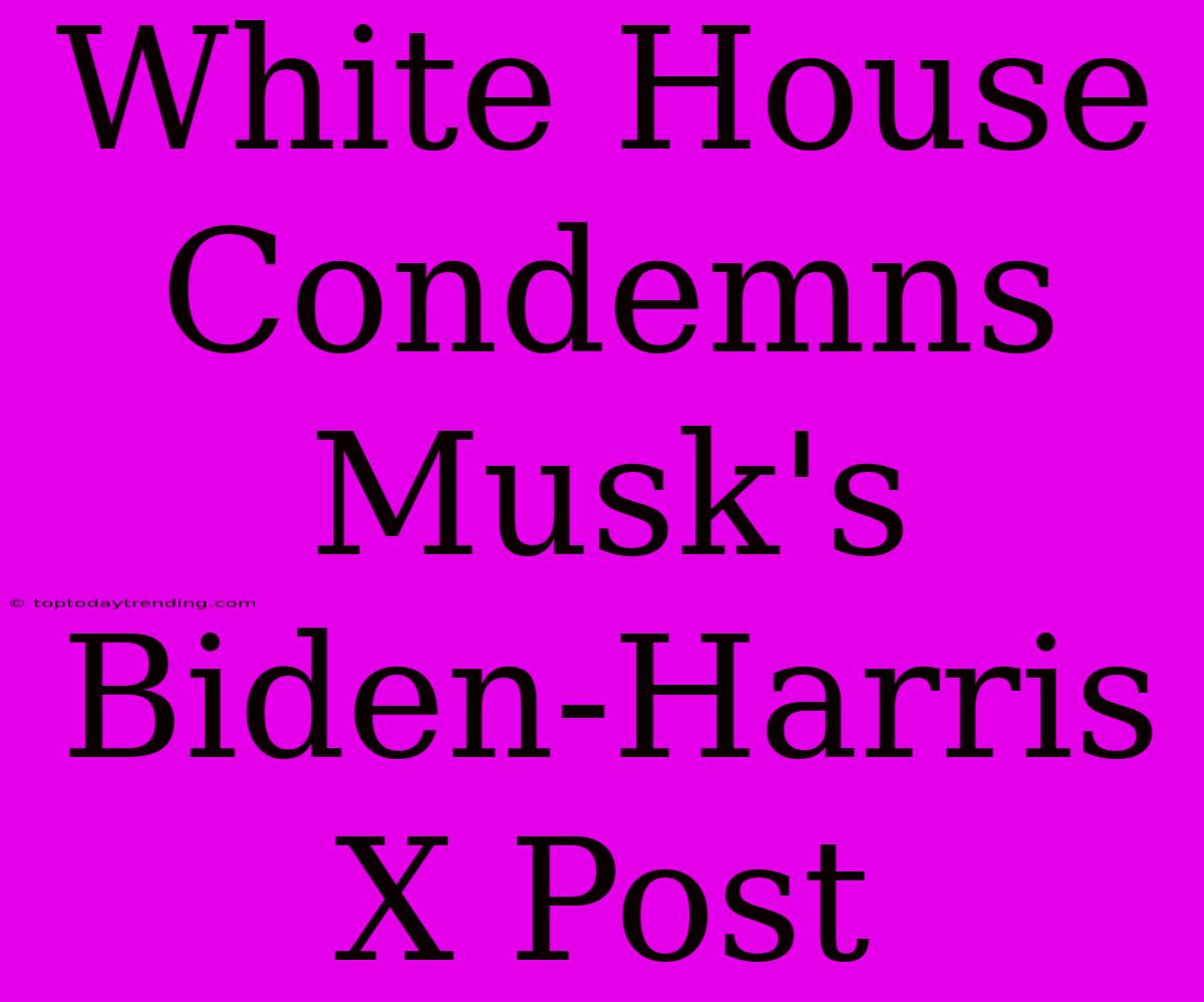 White House Condemns Musk's Biden-Harris X Post