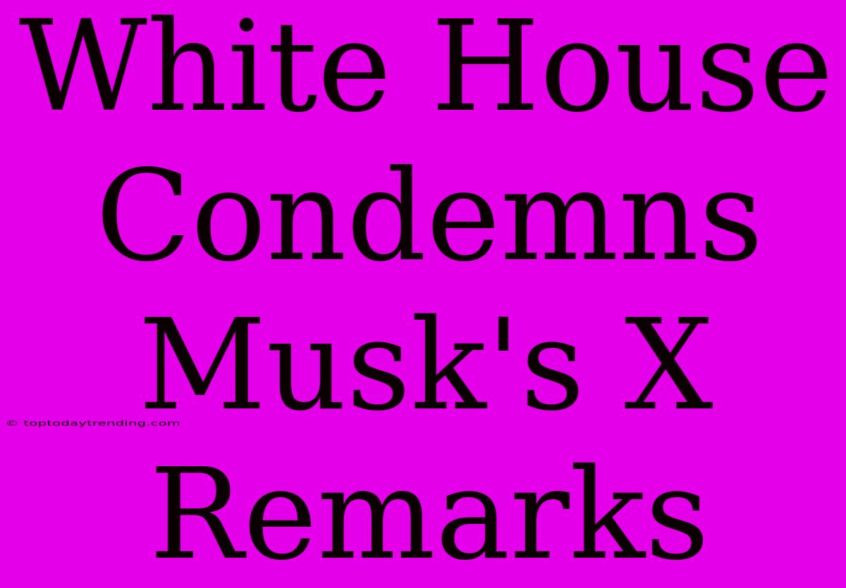 White House Condemns Musk's X Remarks