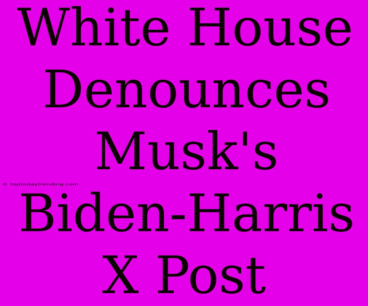 White House Denounces Musk's Biden-Harris X Post