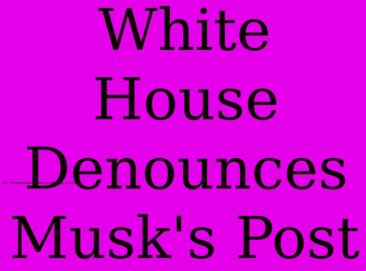 White House Denounces Musk's Post