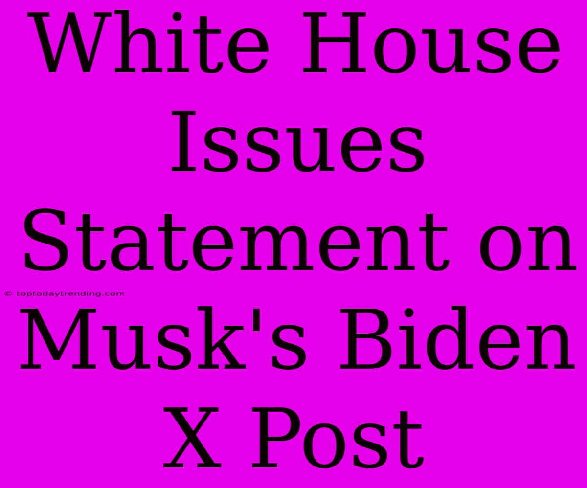 White House Issues Statement On Musk's Biden X Post