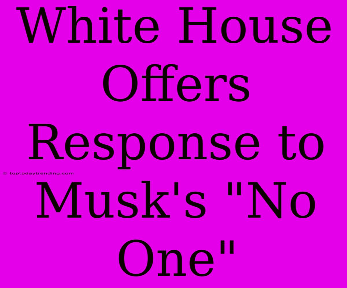 White House Offers Response To Musk's 