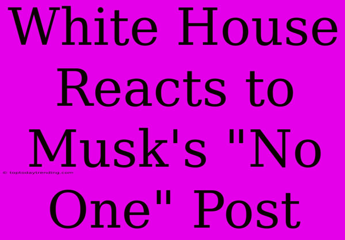 White House Reacts To Musk's 