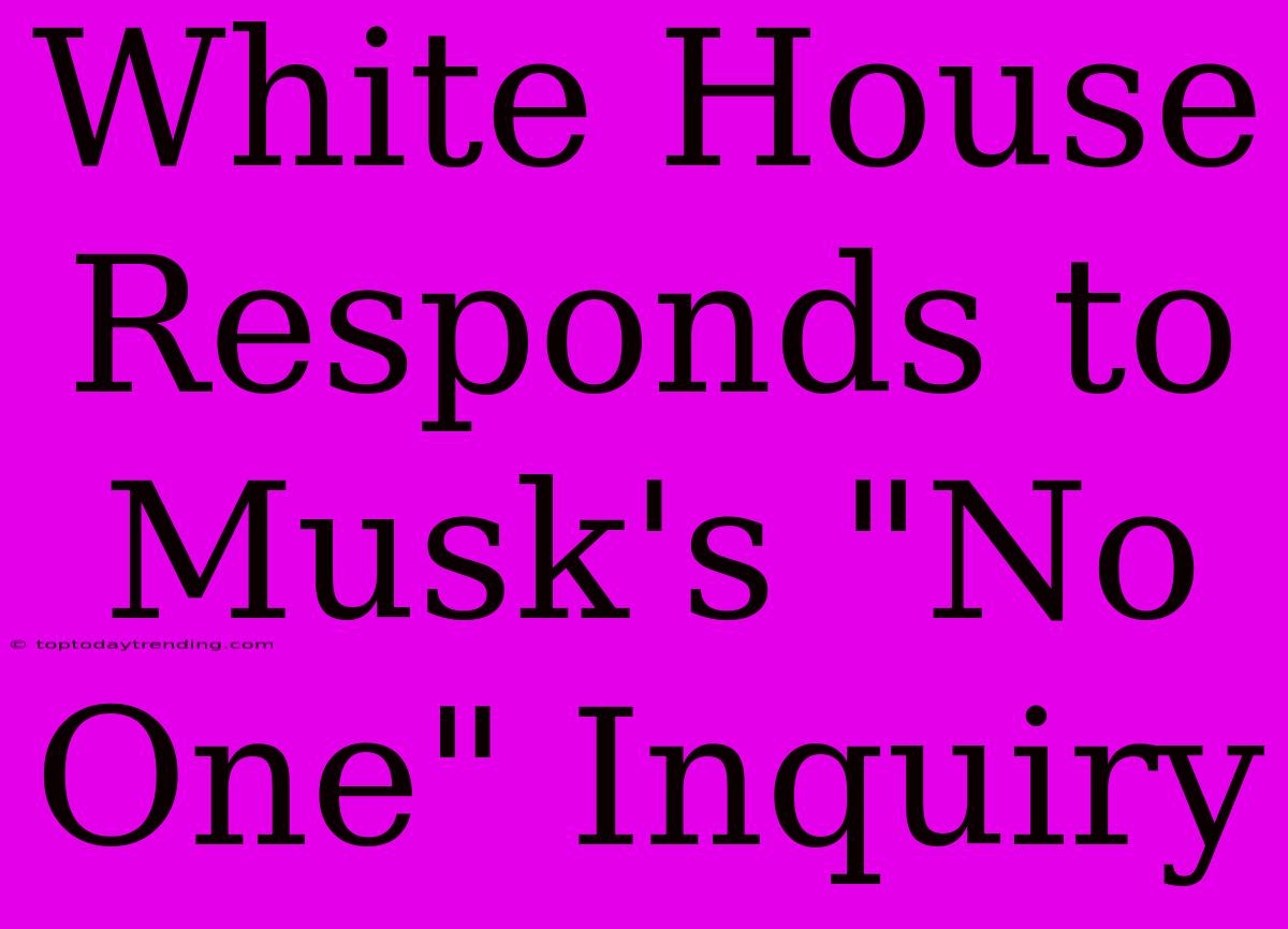 White House Responds To Musk's 