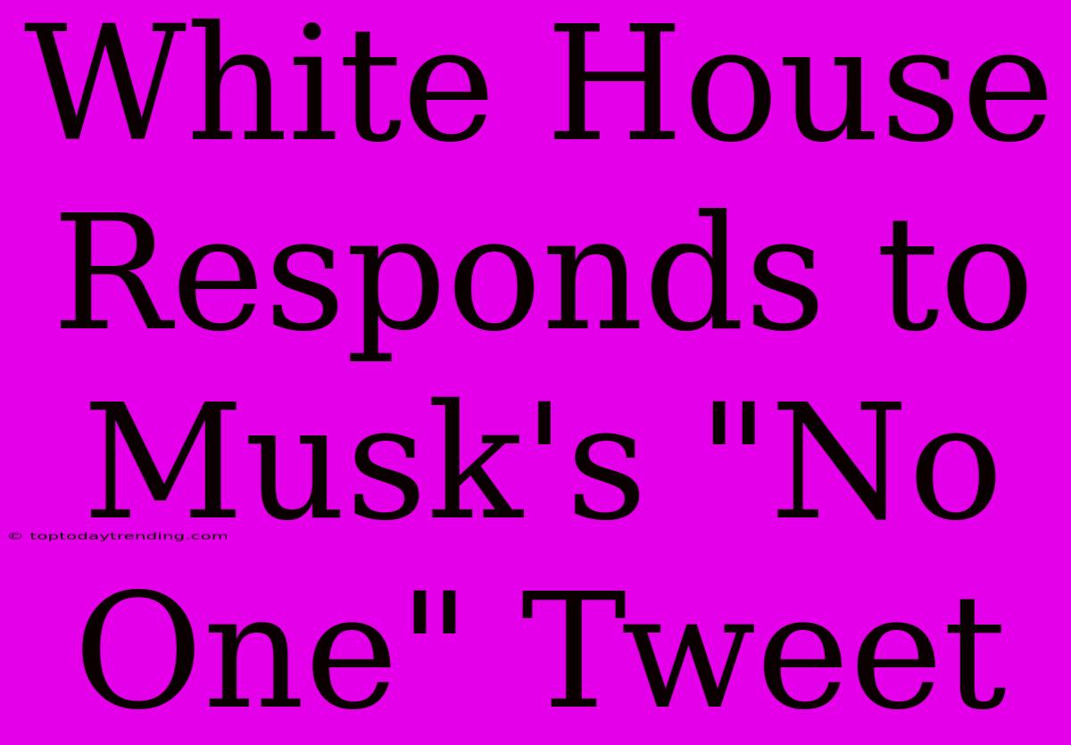 White House Responds To Musk's 