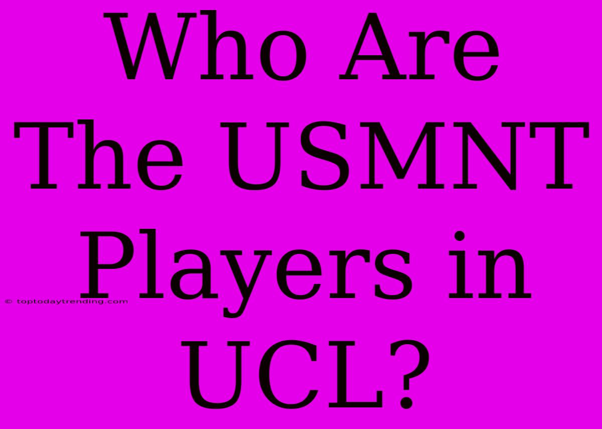 Who Are The USMNT Players In UCL?