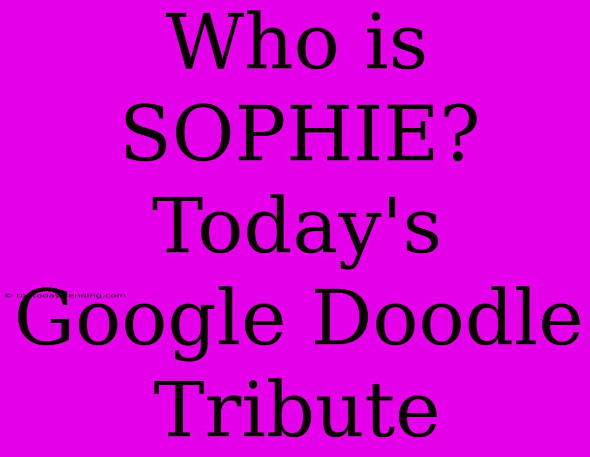 Who Is SOPHIE? Today's Google Doodle Tribute