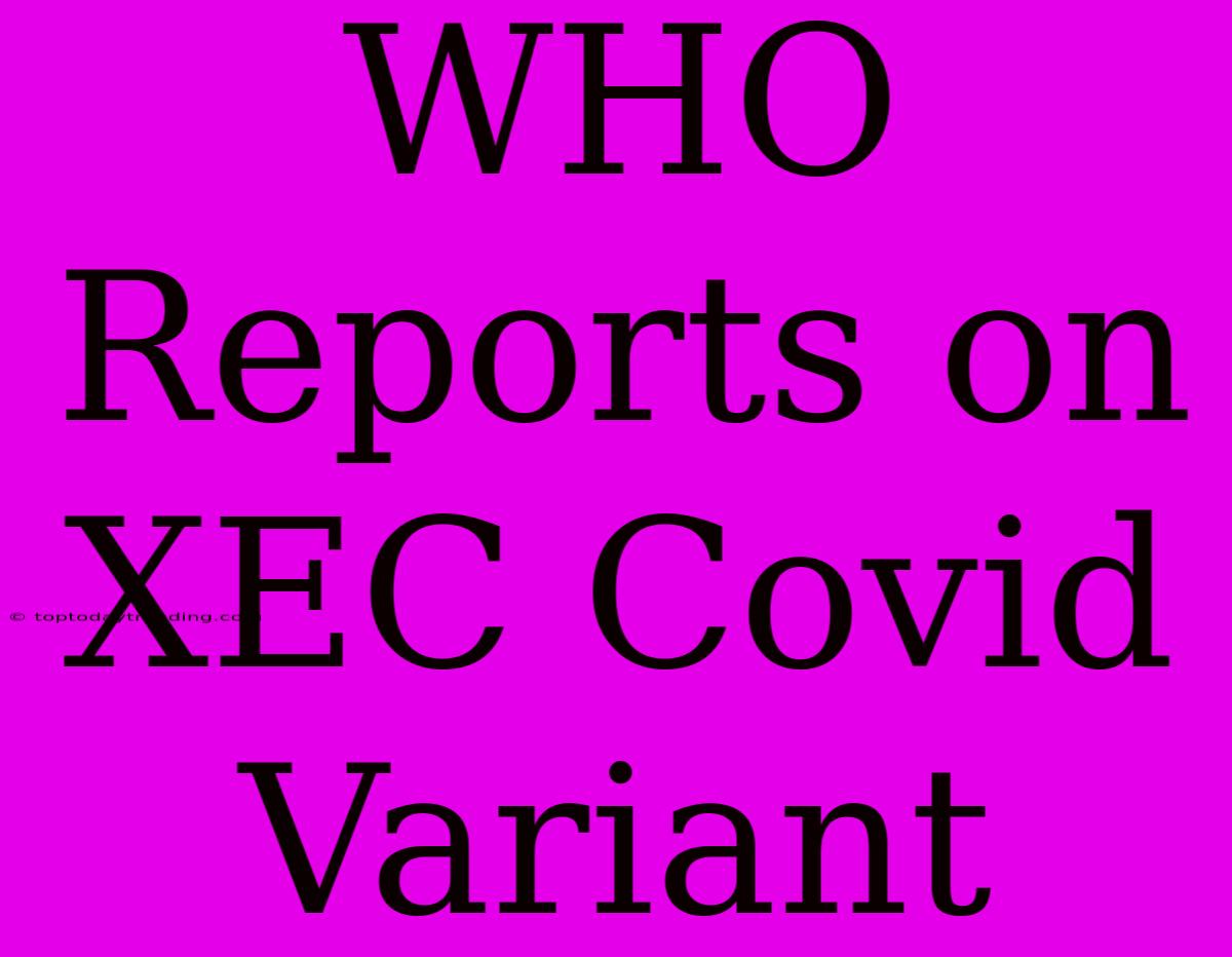 WHO Reports On XEC Covid Variant