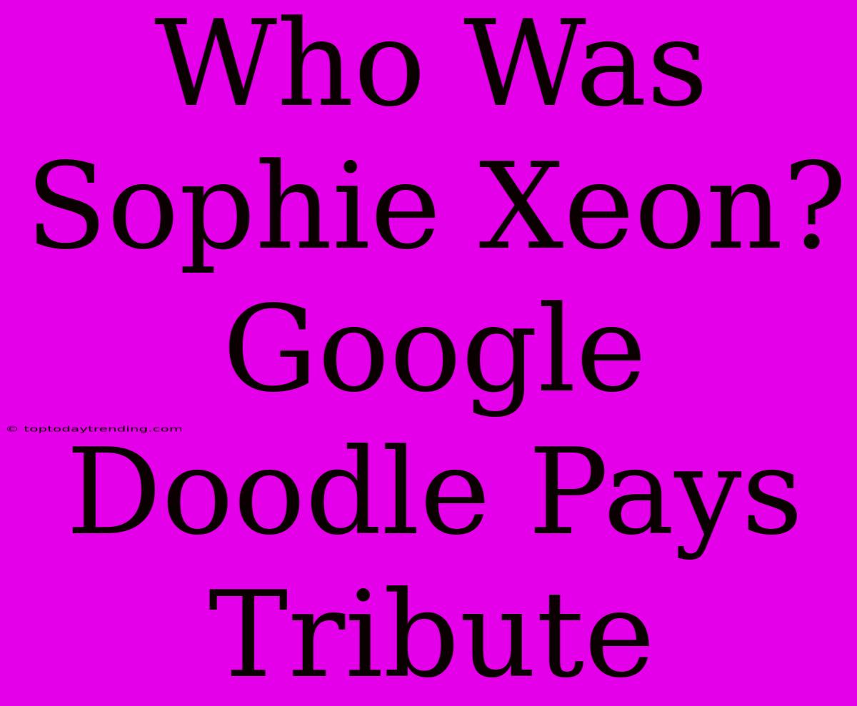 Who Was Sophie Xeon? Google Doodle Pays Tribute