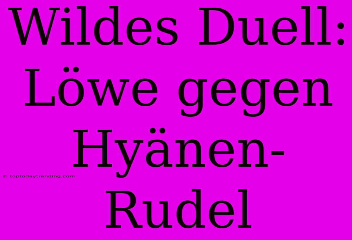 Wildes Duell: Löwe Gegen Hyänen-Rudel