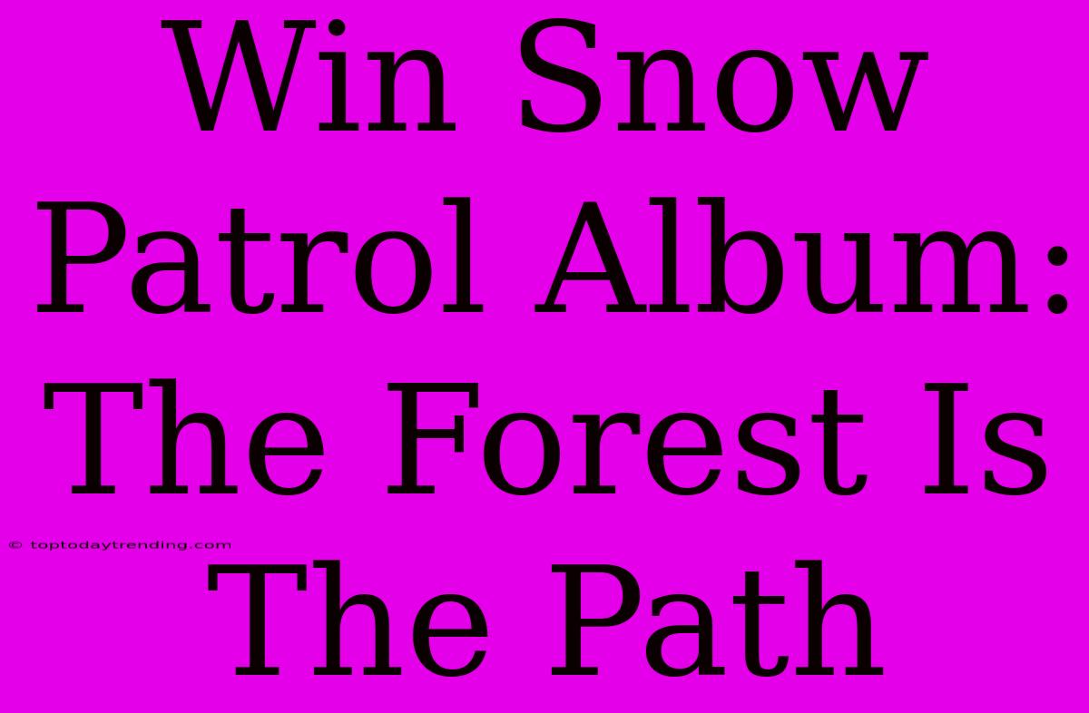 Win Snow Patrol Album: The Forest Is The Path