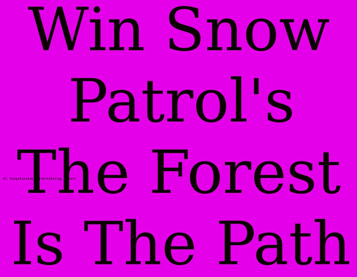 Win Snow Patrol's The Forest Is The Path