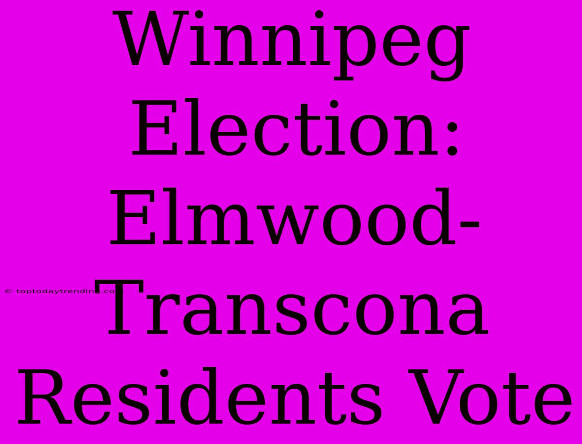 Winnipeg Election: Elmwood-Transcona Residents Vote