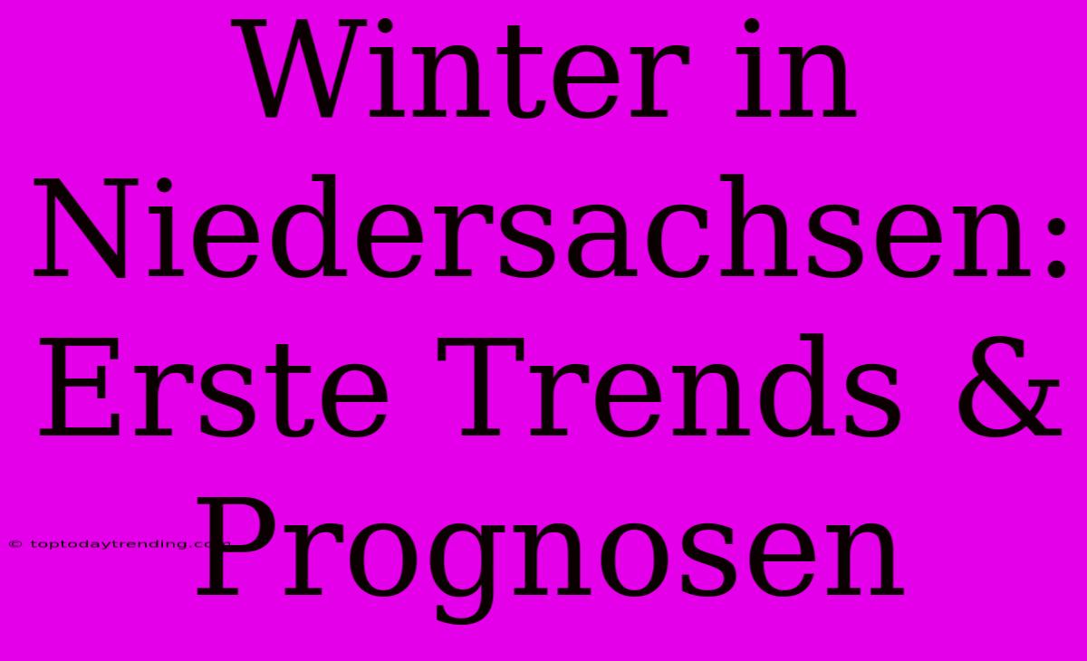 Winter In Niedersachsen: Erste Trends & Prognosen