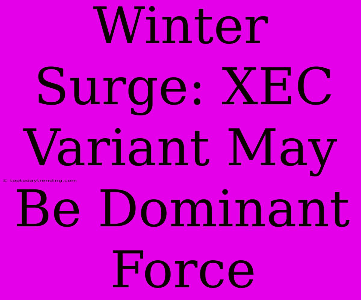 Winter Surge: XEC Variant May Be Dominant Force