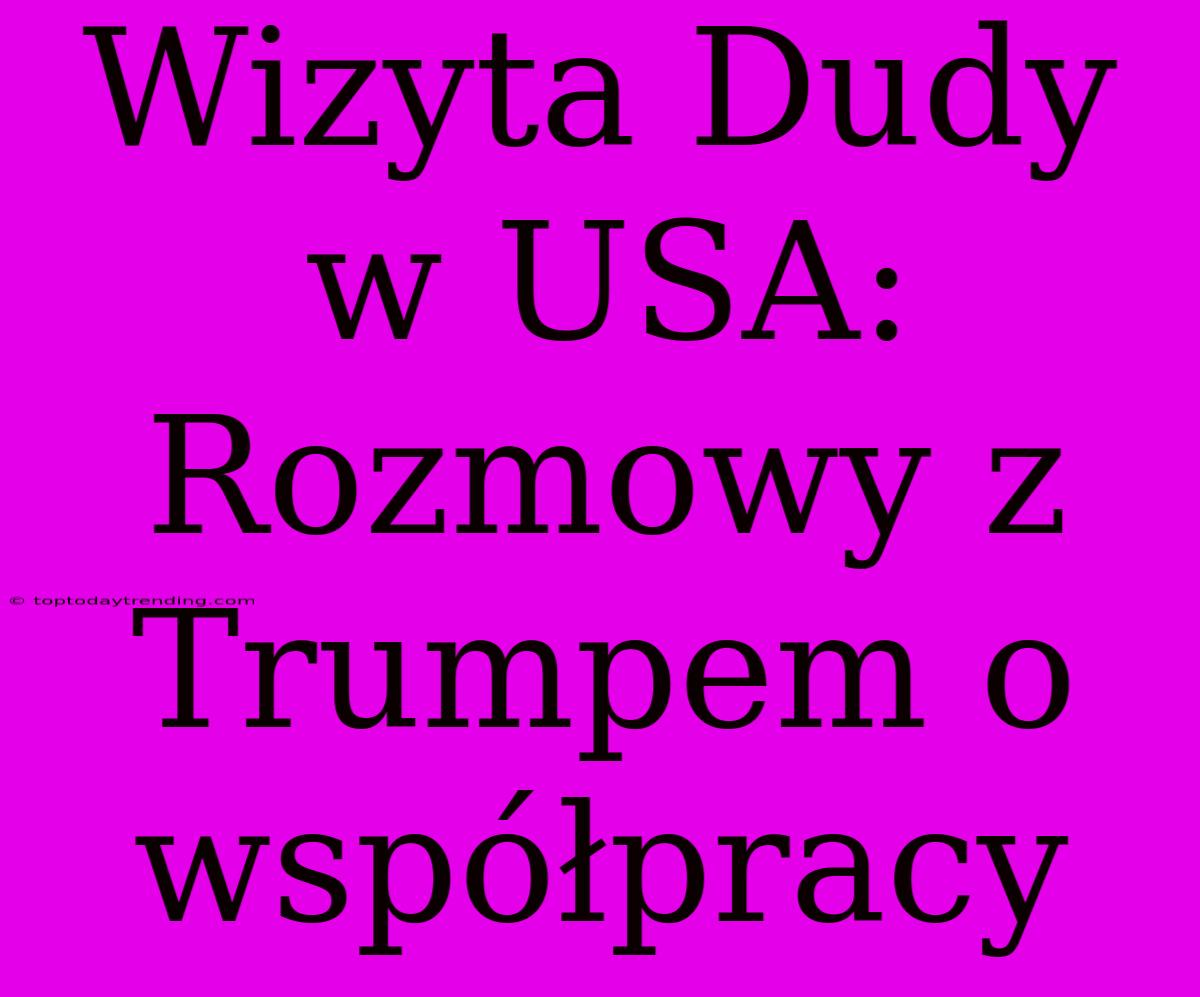 Wizyta Dudy W USA: Rozmowy Z Trumpem O Współpracy