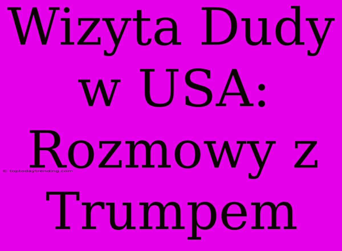 Wizyta Dudy W USA: Rozmowy Z Trumpem