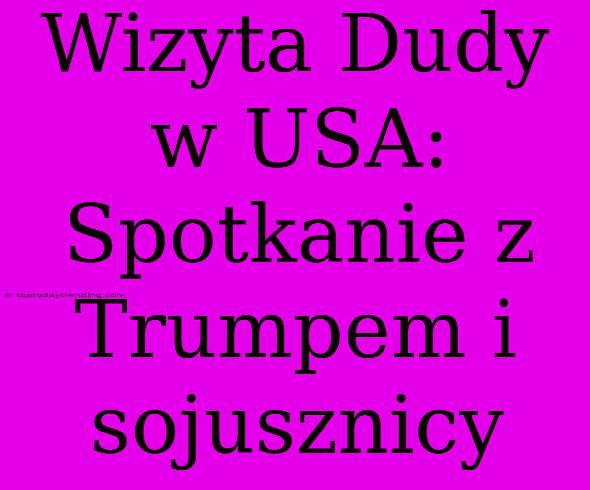 Wizyta Dudy W USA: Spotkanie Z Trumpem I Sojusznicy