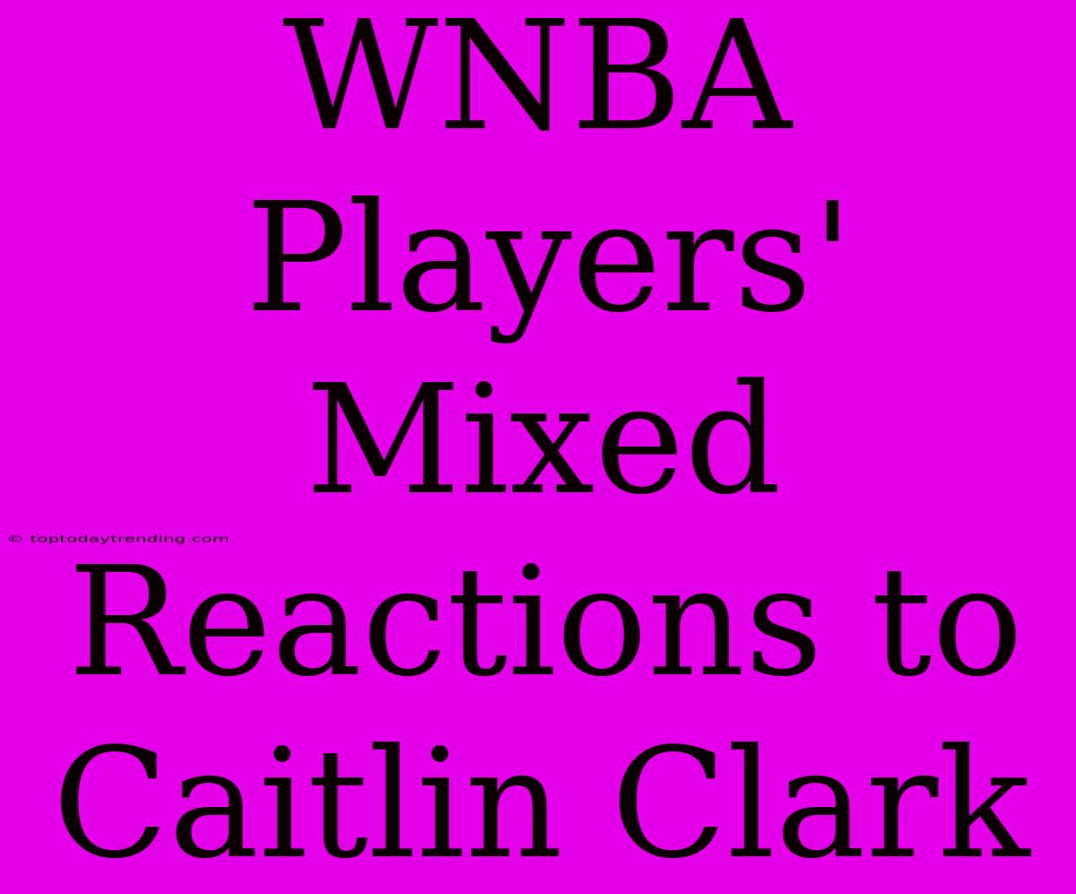 WNBA Players' Mixed Reactions To Caitlin Clark