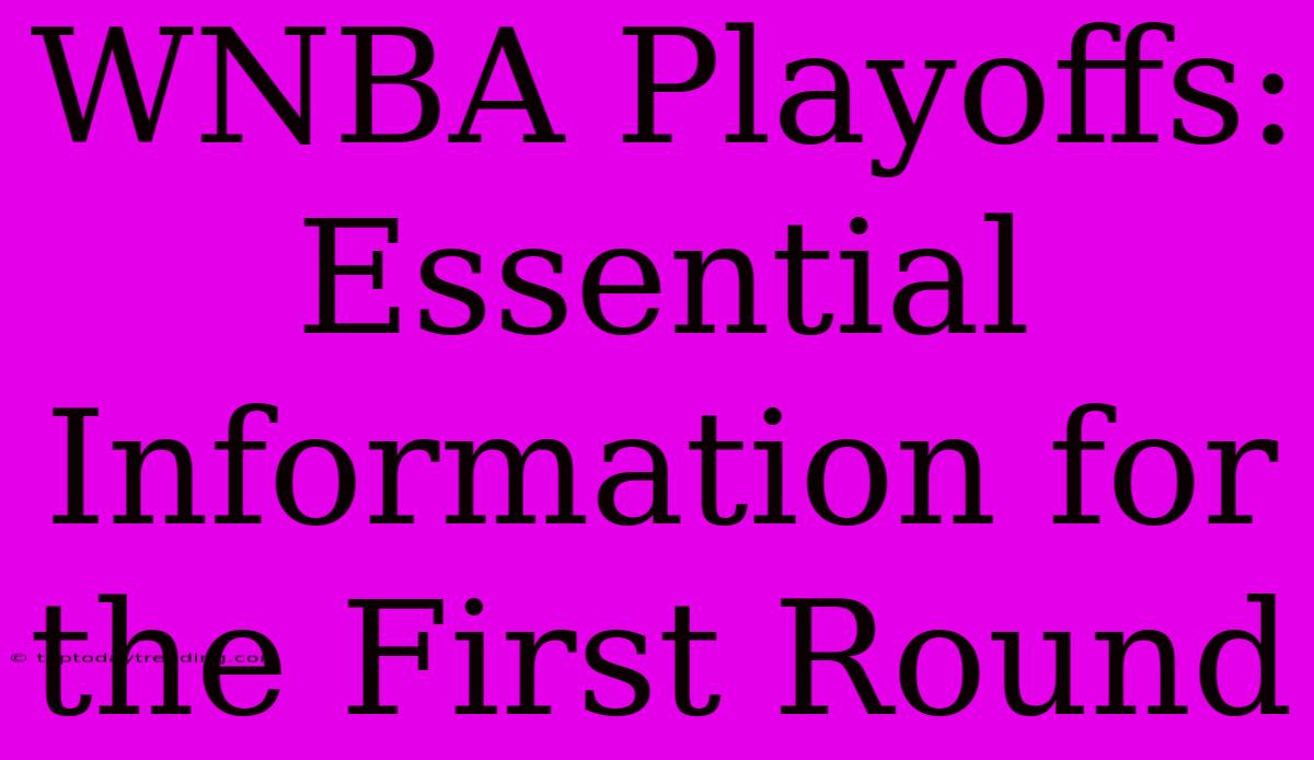 WNBA Playoffs: Essential Information For The First Round