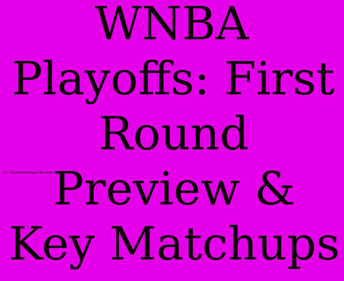 WNBA Playoffs: First Round Preview & Key Matchups