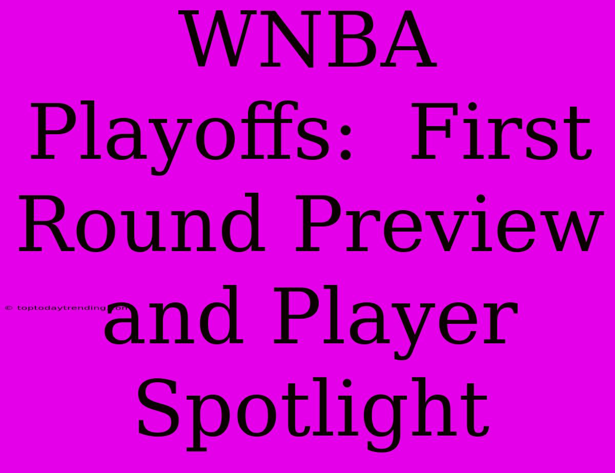 WNBA Playoffs:  First Round Preview And Player Spotlight