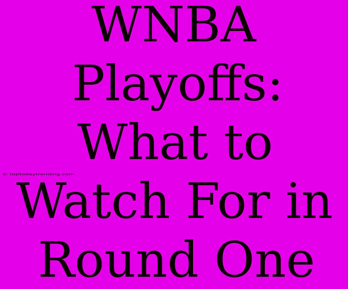 WNBA Playoffs: What To Watch For In Round One