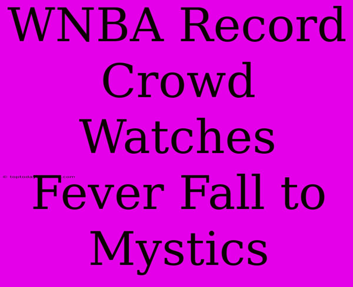 WNBA Record Crowd Watches Fever Fall To Mystics