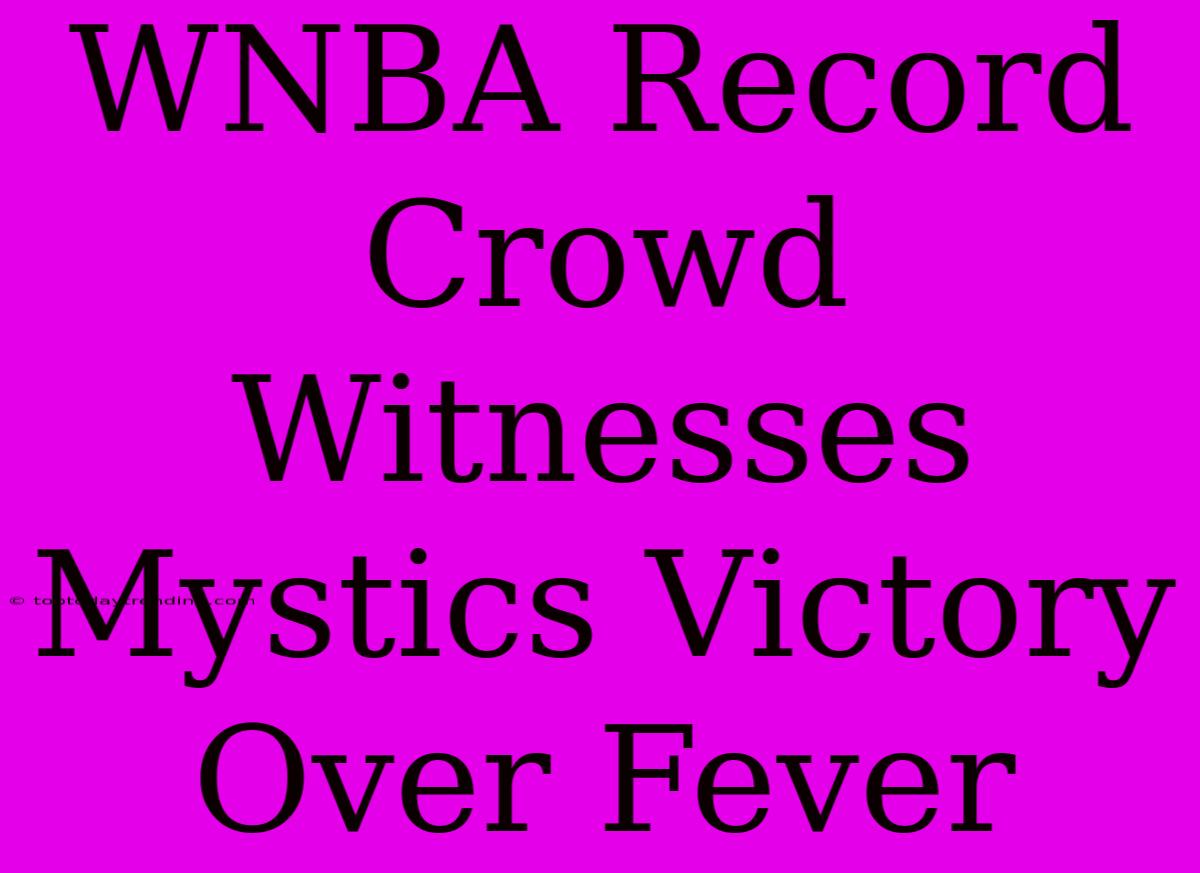 WNBA Record Crowd Witnesses Mystics Victory Over Fever