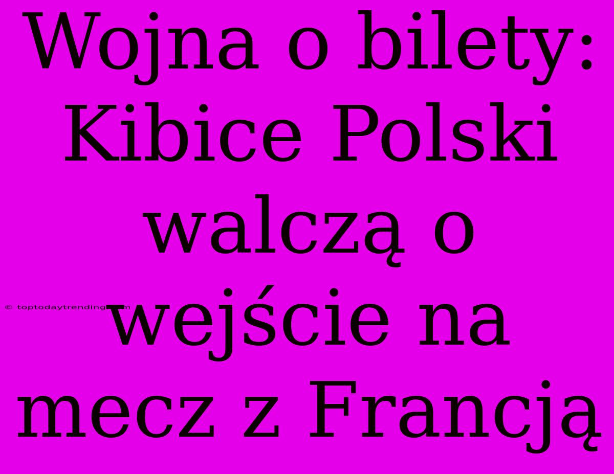 Wojna O Bilety: Kibice Polski Walczą O Wejście Na Mecz Z Francją