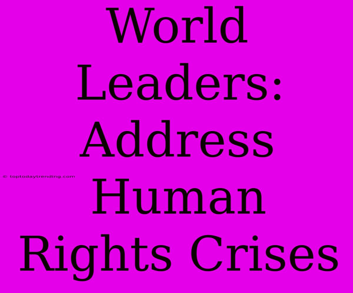 World Leaders: Address Human Rights Crises