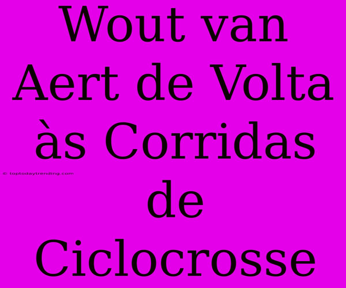 Wout Van Aert De Volta Às Corridas De Ciclocrosse