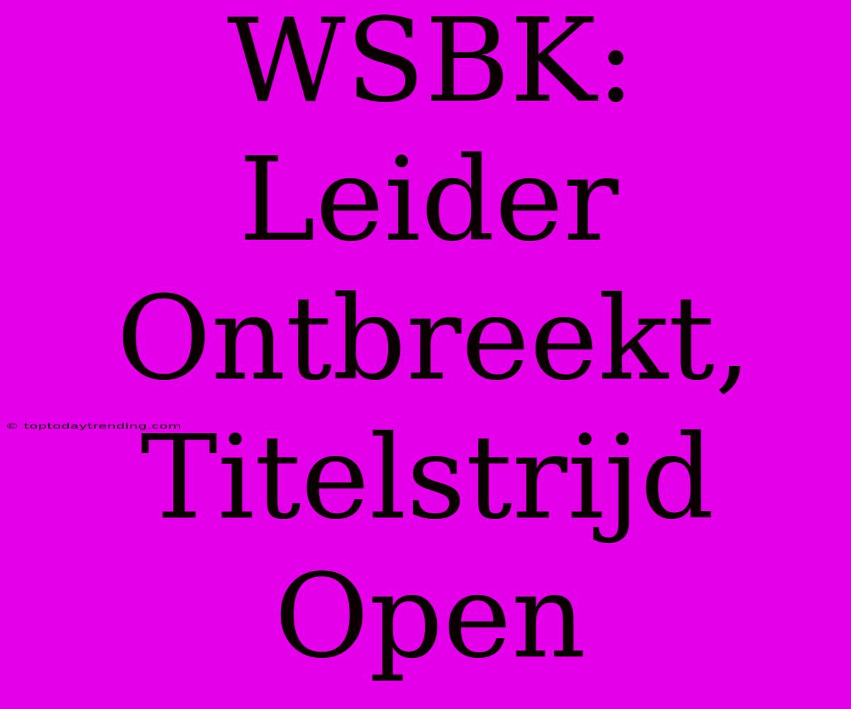 WSBK: Leider Ontbreekt, Titelstrijd Open