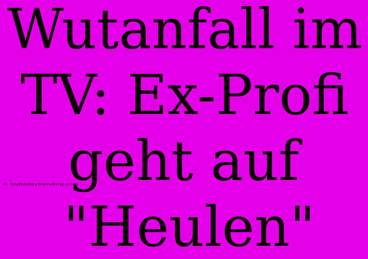 Wutanfall Im TV: Ex-Profi Geht Auf  