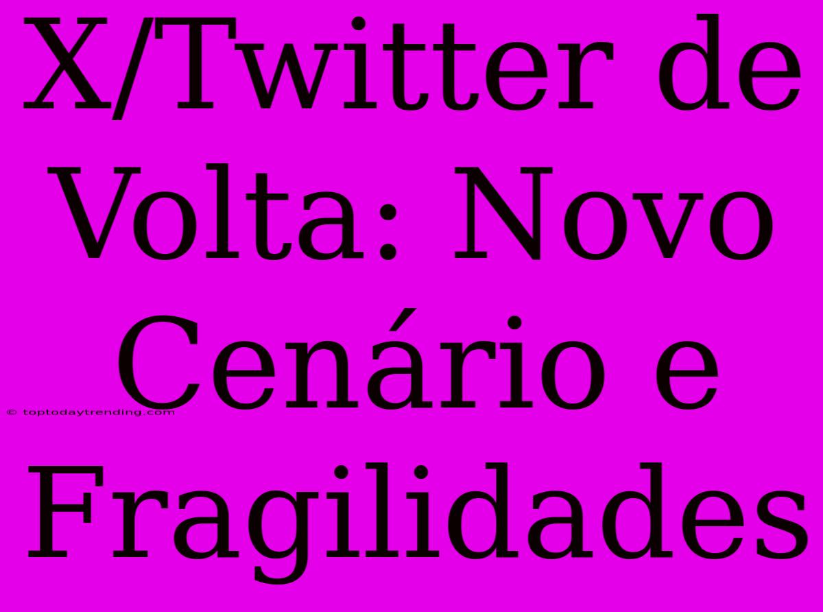 X/Twitter De Volta: Novo Cenário E Fragilidades