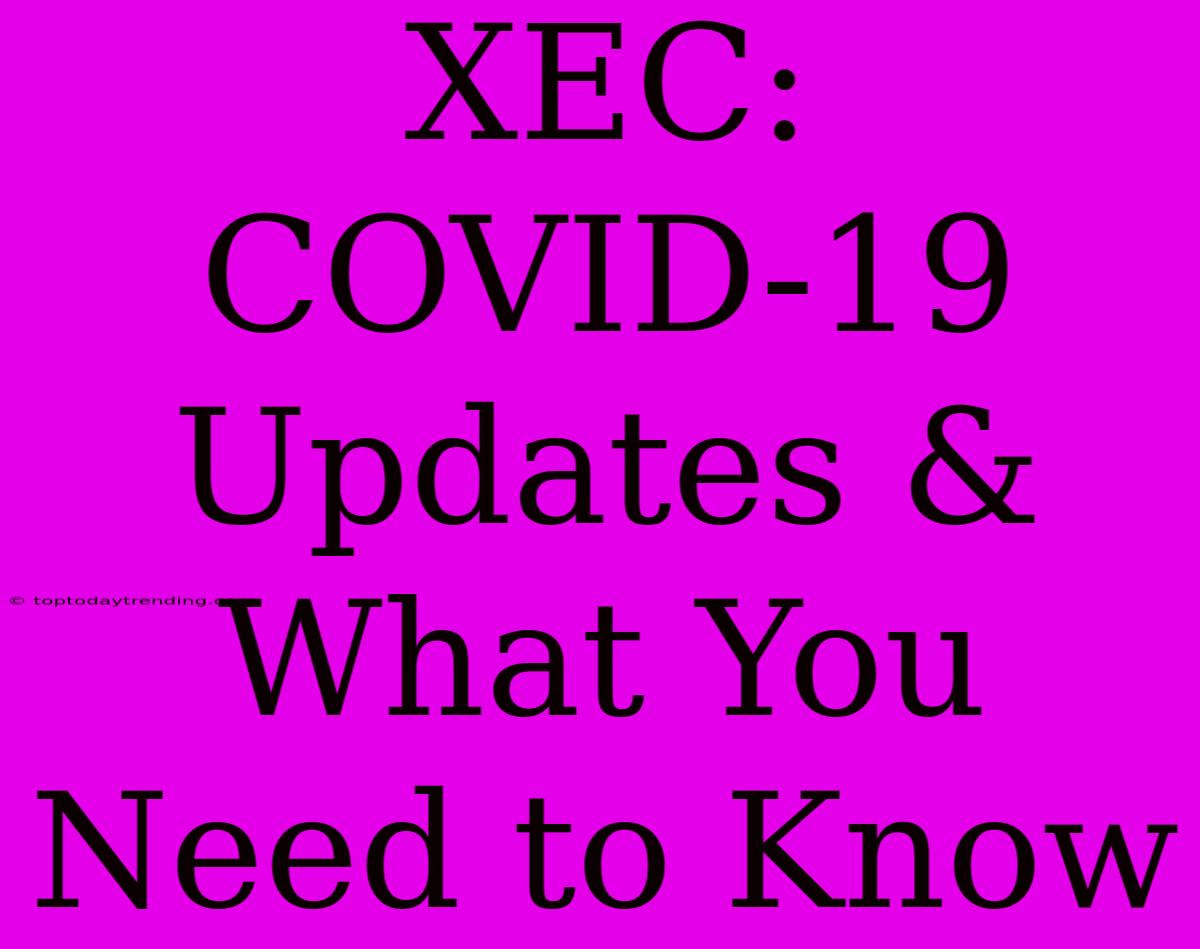 XEC: COVID-19 Updates & What You Need To Know