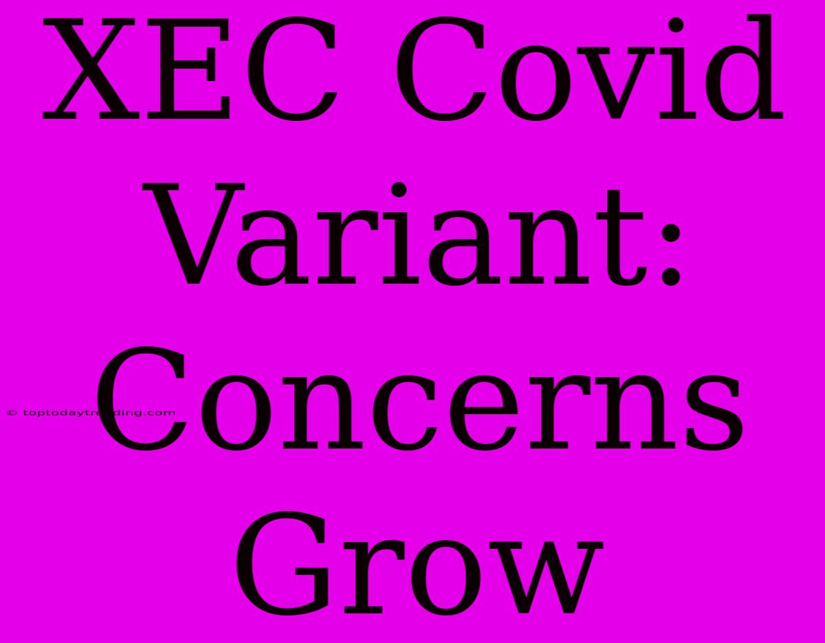 XEC Covid Variant: Concerns Grow