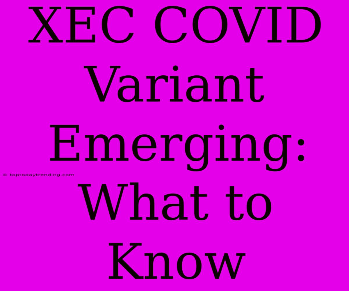 XEC COVID Variant Emerging: What To Know